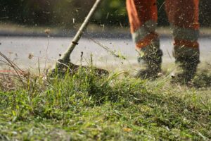 To-Dos für Gartenbesitzer