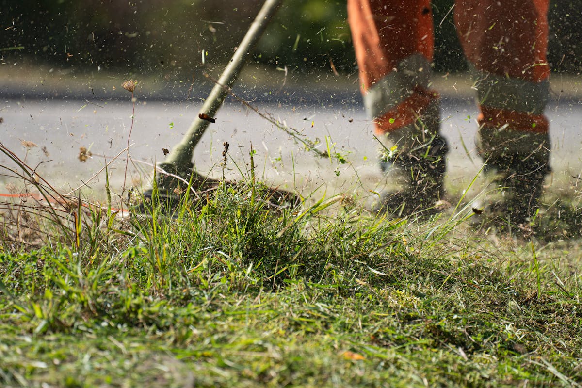 To-Dos für Gartenbesitzer