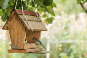 Vogelfutterhӓuser im Garten